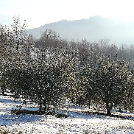 Sotto La Luna Bruna B&B Cocconato Dış mekan fotoğraf