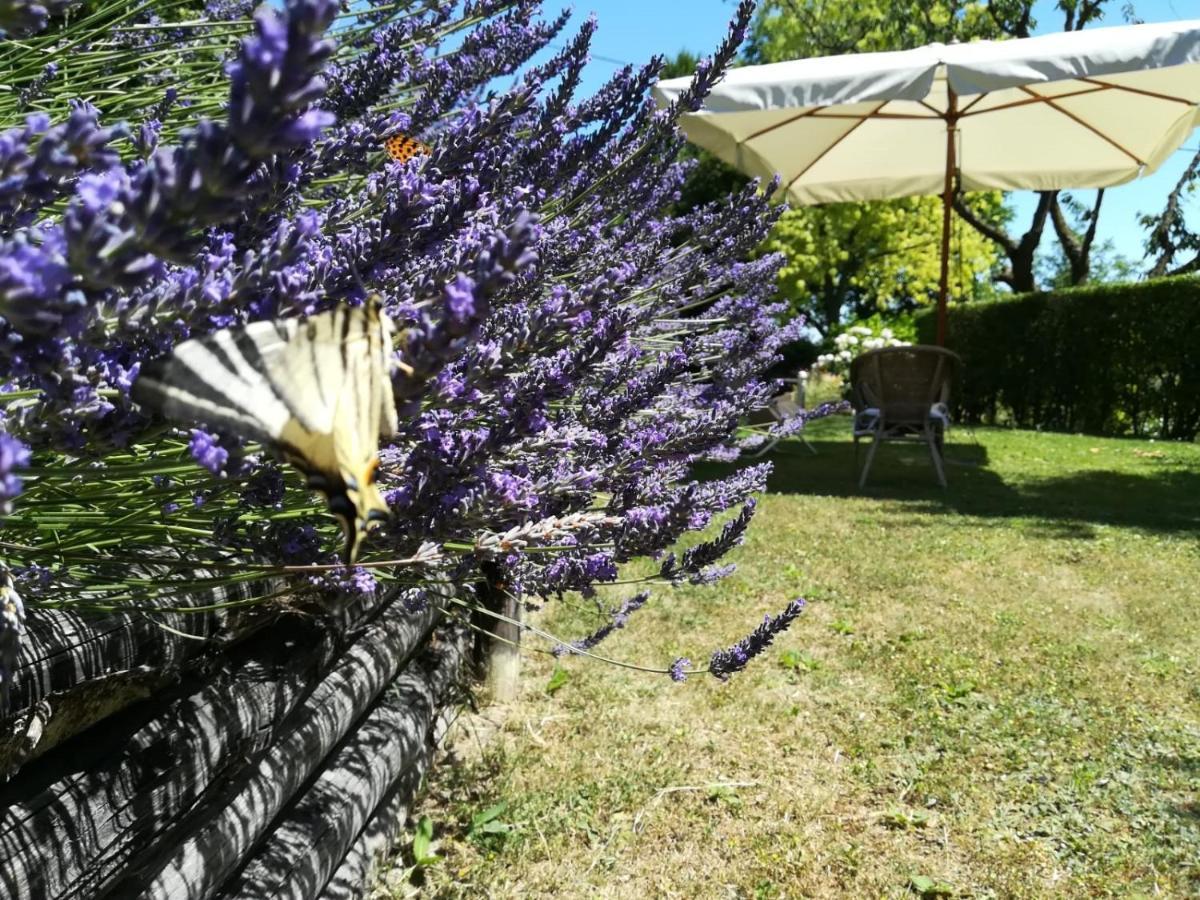 Sotto La Luna Bruna B&B Cocconato Dış mekan fotoğraf
