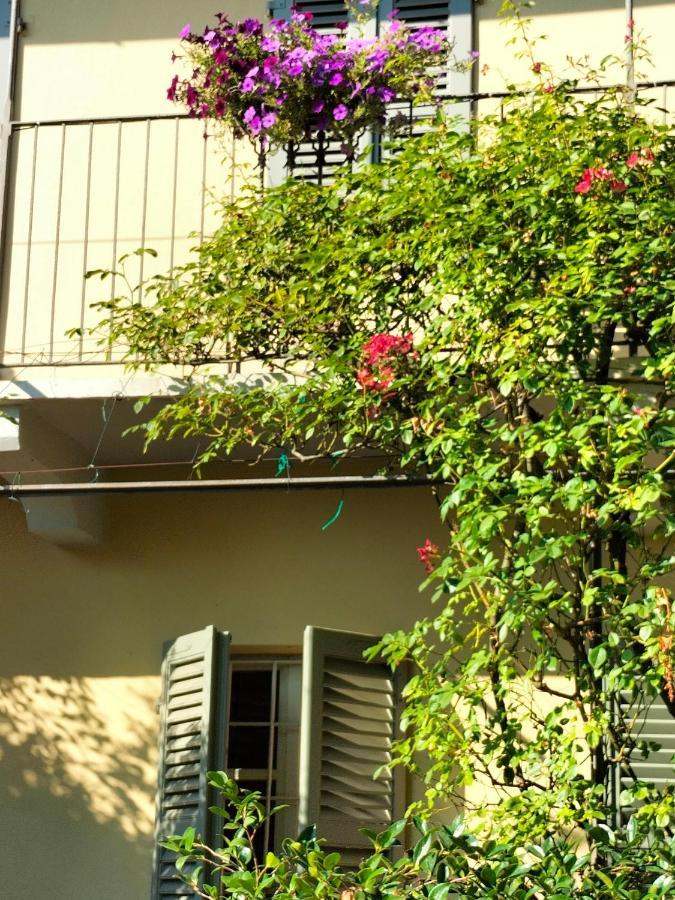 Sotto La Luna Bruna B&B Cocconato Dış mekan fotoğraf