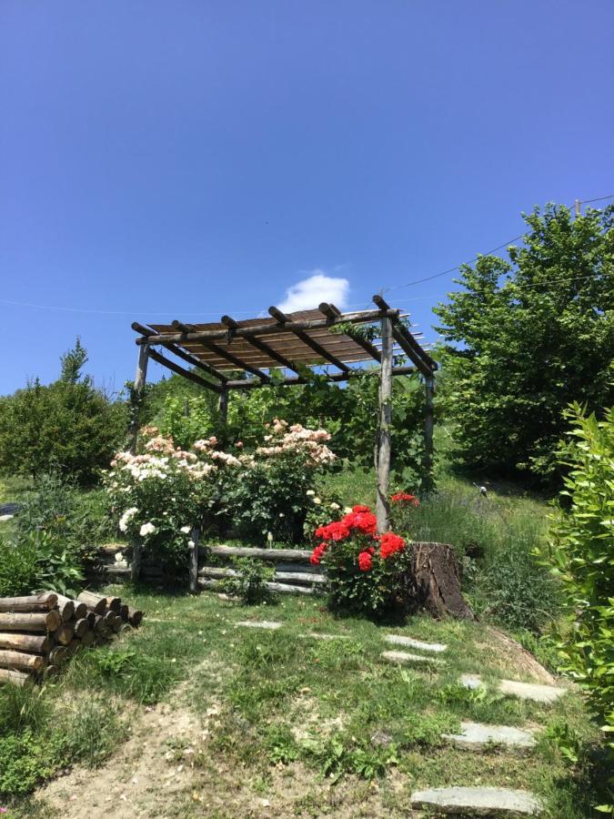 Sotto La Luna Bruna B&B Cocconato Dış mekan fotoğraf