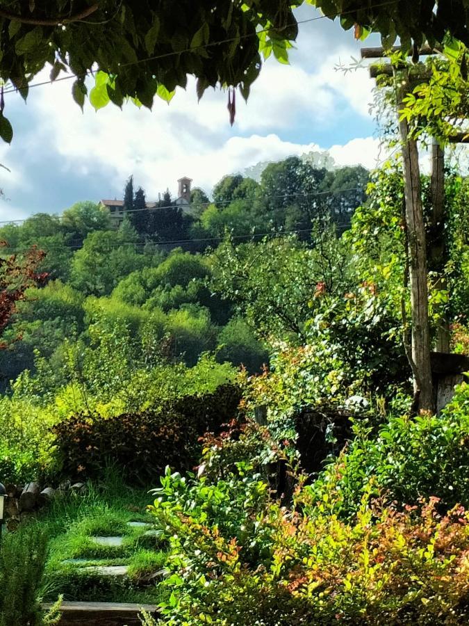 Sotto La Luna Bruna B&B Cocconato Dış mekan fotoğraf