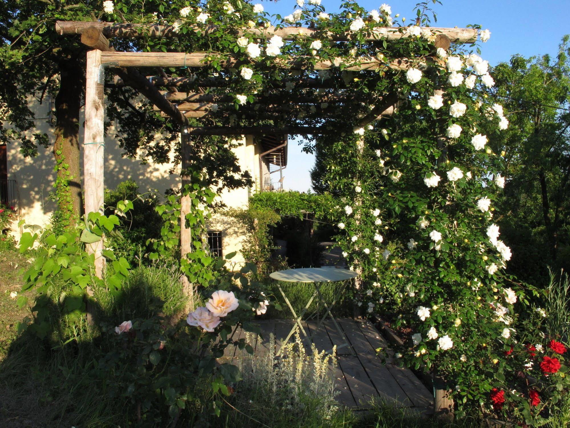 Sotto La Luna Bruna B&B Cocconato Dış mekan fotoğraf