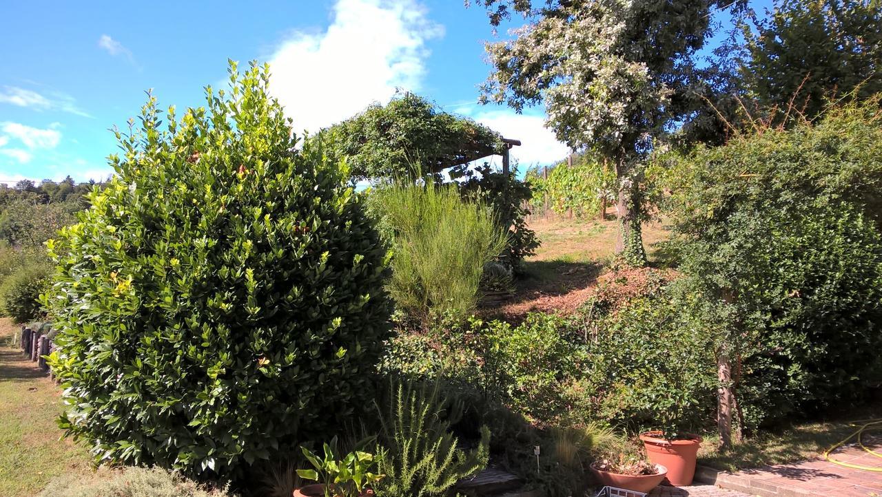 Sotto La Luna Bruna B&B Cocconato Dış mekan fotoğraf